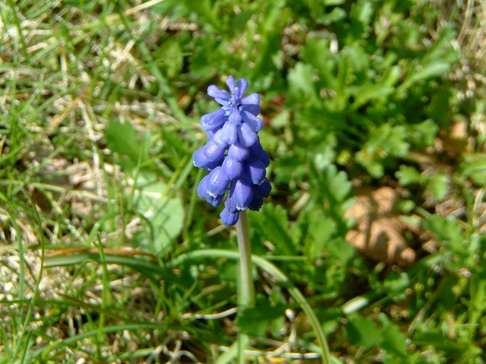 Image of :20050502_home2.JPG