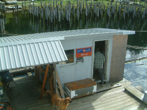 Image : 20030429_bamfield1.JPG