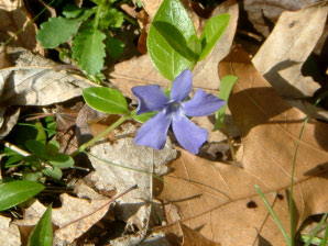 Image : 20050502_home3.JPG