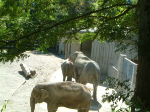 Image : 20050925_portland_zoo.JPG