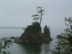 Image : portland2005