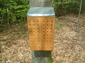 Image : 20060505_beebox.JPG