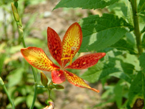 Image : 20060714_home2.JPG