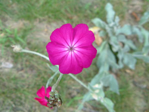 Image : 20060714_home4.JPG