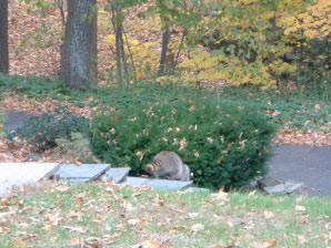 Image : 20071109_home.JPG