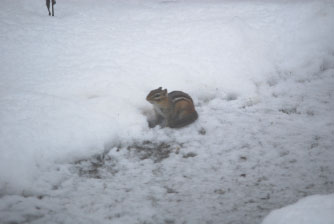 Image : 20080227_home.JPG
