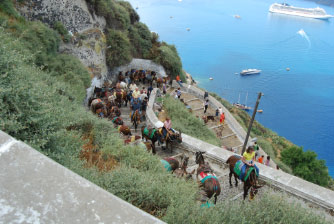 Image : Thera0519_0023.JPG