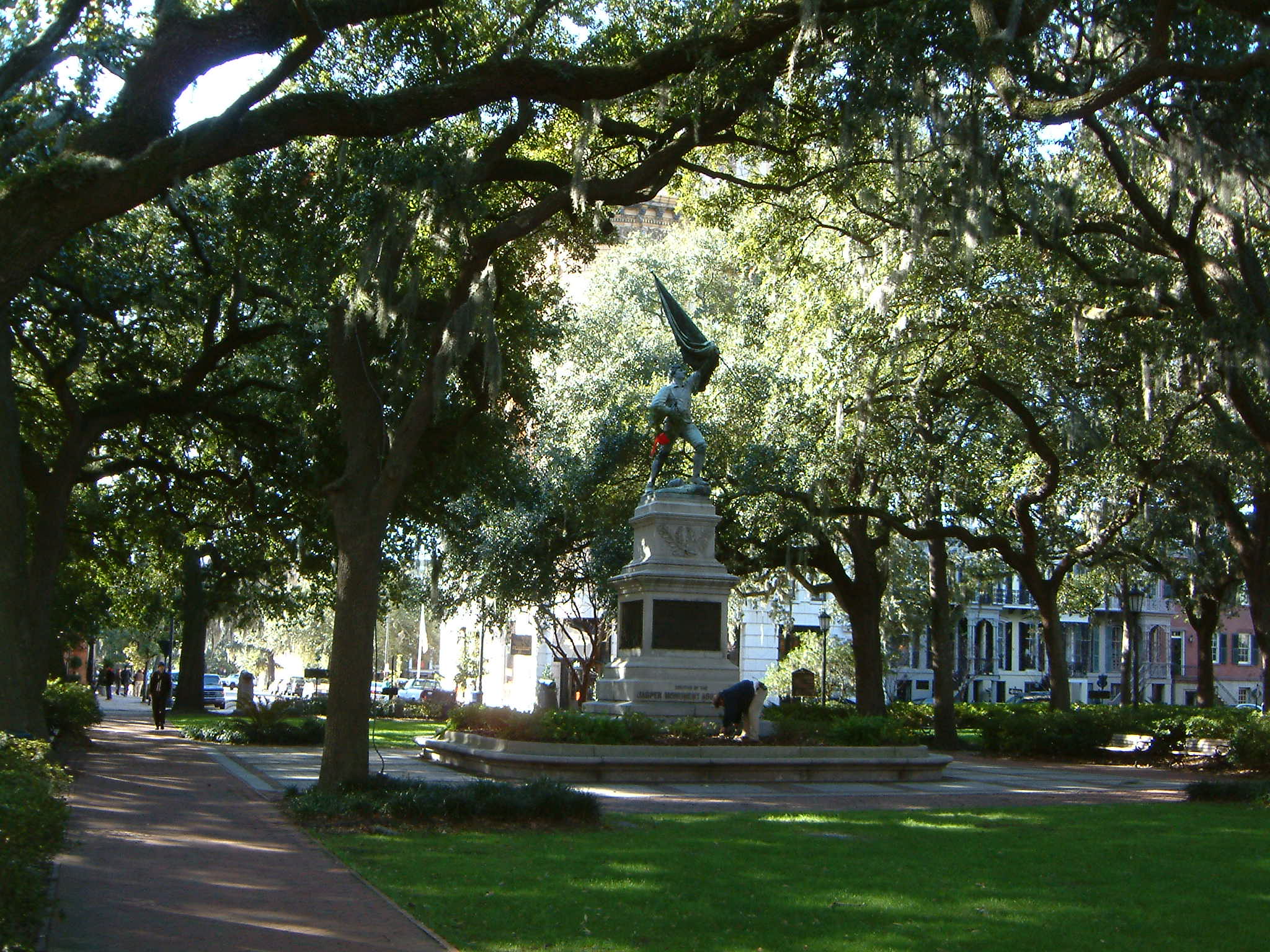 Image of :20070110_savannah1.JPG