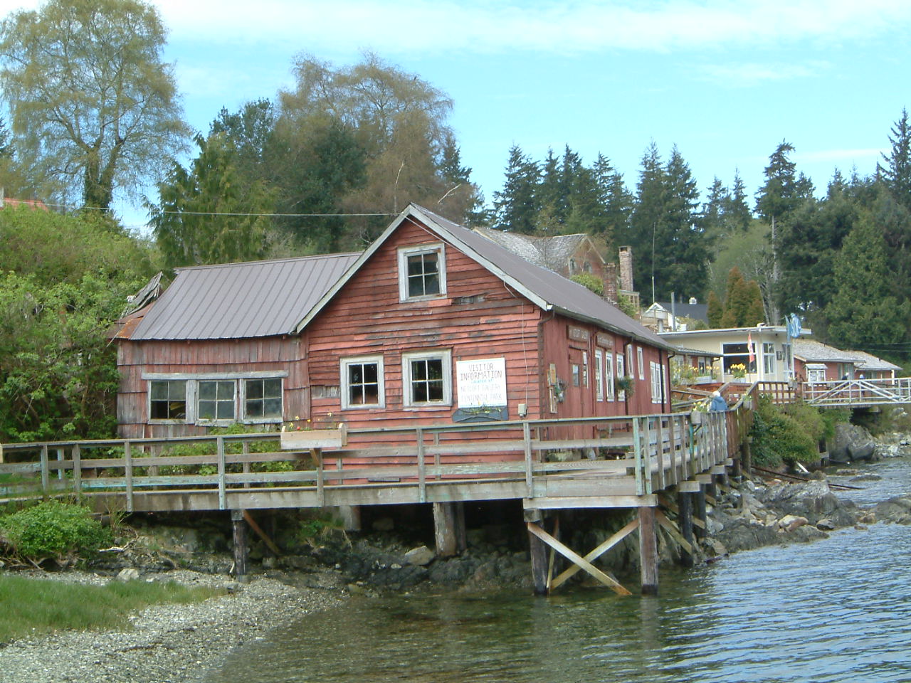 Image of :20030429_bamfield5.JPG